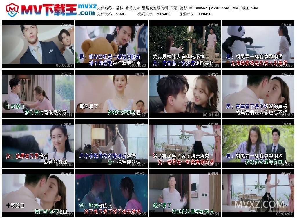 暴林_乔玲儿-相思是寂寞酿的酒_国语_流行_ME800567